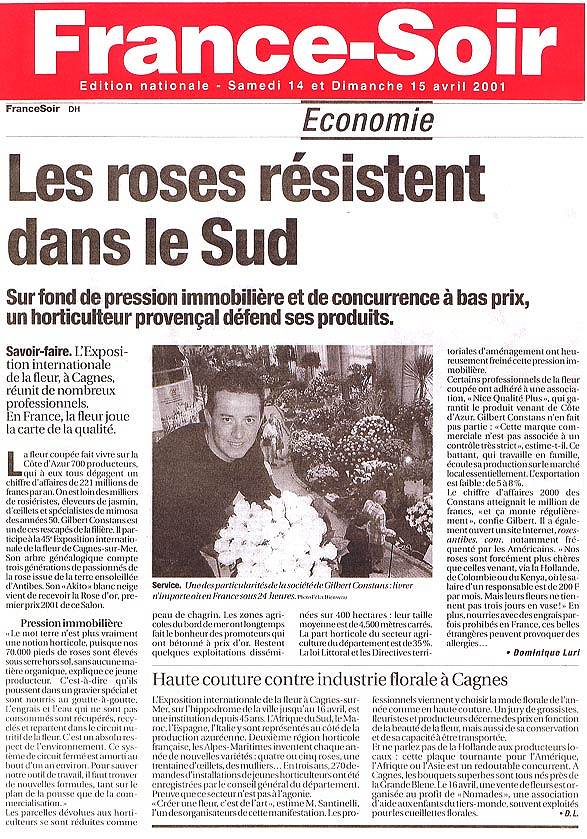 Revue de presse - Les roses résistent dans le sud