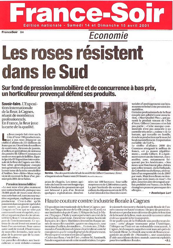 Revue de presse - Les roses rsistent dans le sud