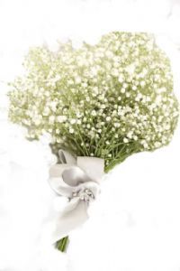 autres fleurs-Accompagnements